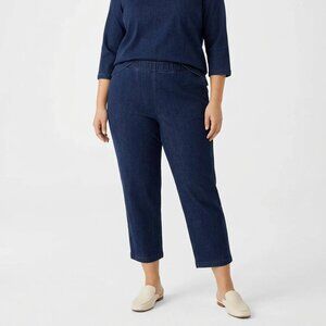 Allison Daley Women's Blue Straight Leg Pull Up Elastic Waist Jeans Plus Size 18